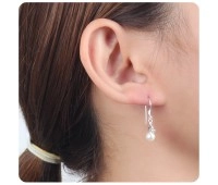Silver Earrings STS-67